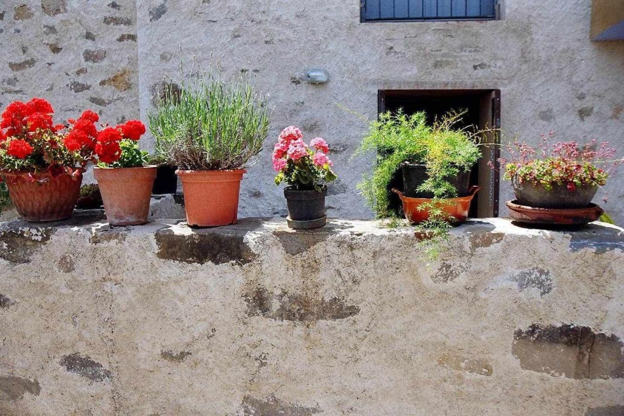 Rectoria De Castellar Villa La Vall de Bianya Ngoại thất bức ảnh